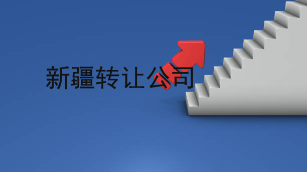 2026年资深的新疆乌鲁木齐财务公司实力之选:注册公司综合盘点-2